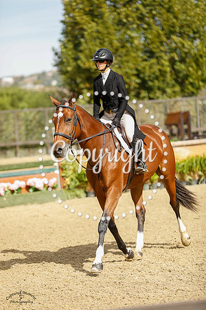 TRULLI_BELLE_(946)_20231013_0507
