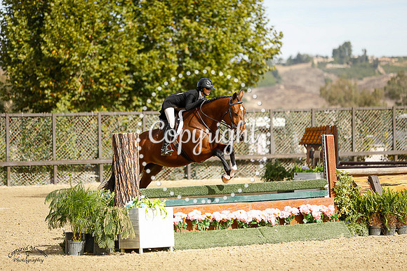 TRULLI_BELLE_(946)_20231013_0508