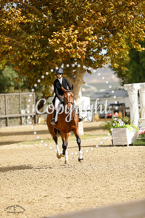 TRULLI_BELLE_(946)_20231013_0511