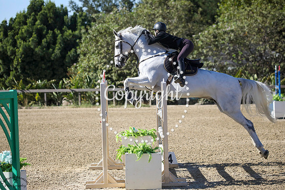 ASKABAN_22_(1156)_20231018_4660