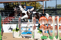 GRAND_DESERT_(1271)_20231019_1376