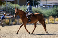 MAESTRO_(519)_20231019_1669