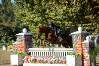 MAESTRO_(519)_20231019_4811