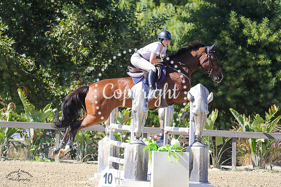TINY_DANCER_(1049)_20231019_6283
