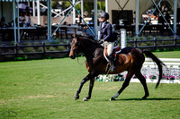 Tic_Tac_Toe_(549)_20250619_2492