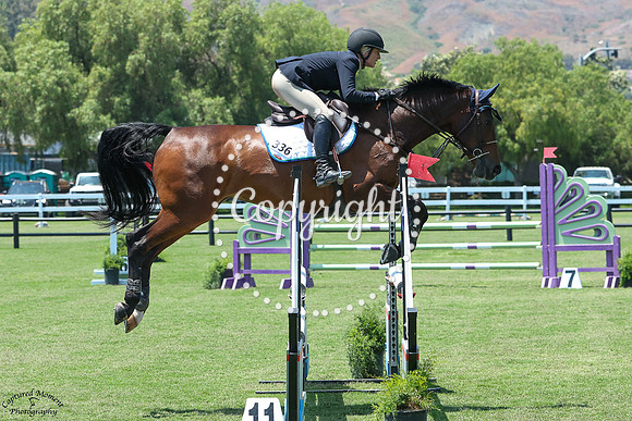 November_Rain_(336)_20250611_5388