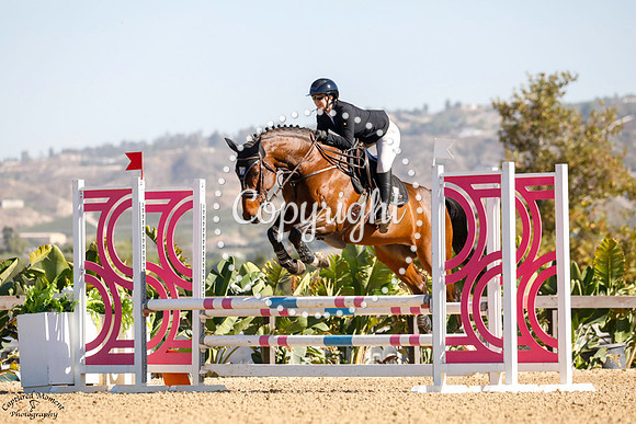 DUROCASSE_DU_SEY_(1328)_20231020_0239