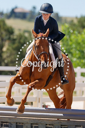 Razzle_Dazzle_(907)_20250705_3601