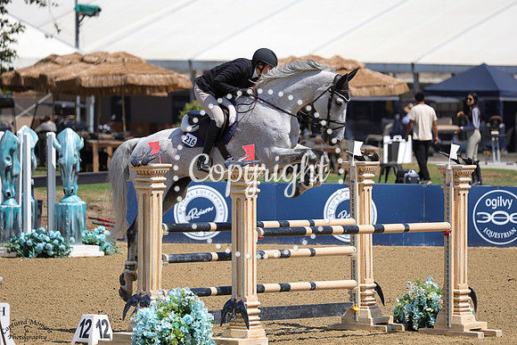Florida_Vdl_(216)_20250613_4206