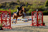 Hd_Ginger_Flame_(516)_20250718_1107