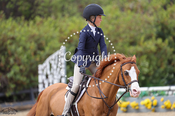 Unforgettable_(1564)_20250625_0710