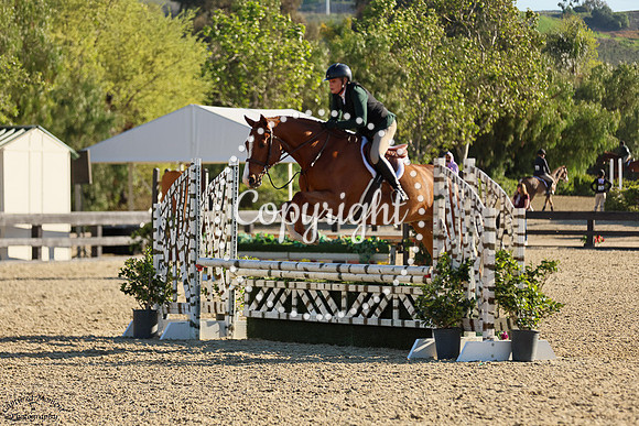 CHAPERONE_(190)_20250405_5929