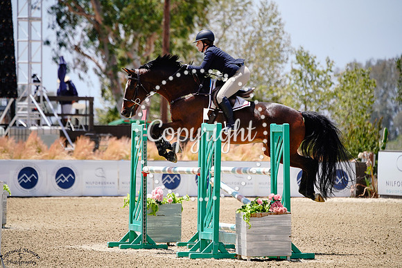 Sws_Colido_(299)_20250524_4052