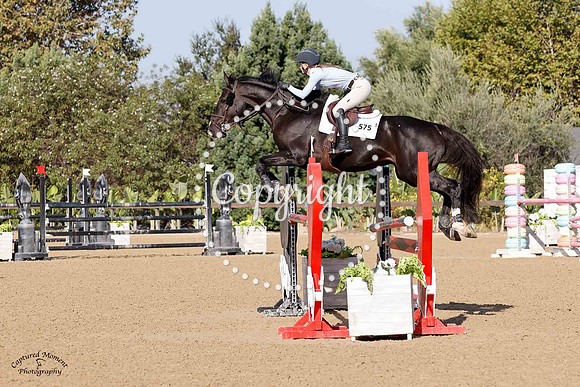 Checkered_Past_(575)_20241002_0380