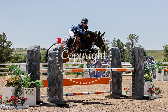 Liseloeslinn_(1396)_20250621_0597