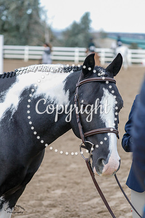 Always_Chipper_(141)_20210912_4987