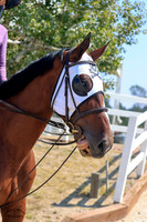 Athena_(488)_20210909_1374