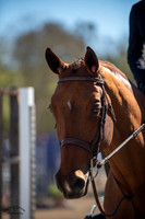 Bocelli_(205)_20210915_7977