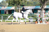 Carlito_1_(108)_20210914_0140
