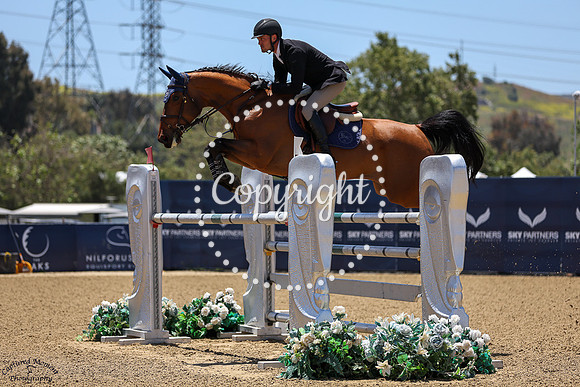 No_Feardi_(499)_20250514_0931