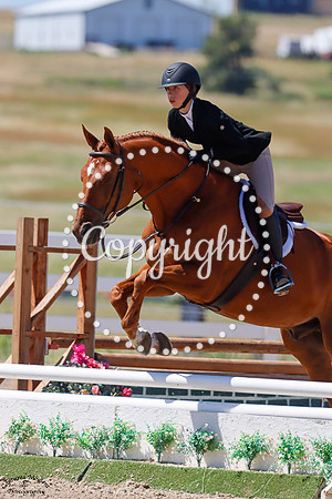 Ucelo_De_Kergane_(1071)_20250705_3623