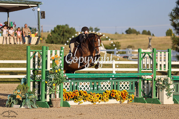 Sws_High_Light_(1080)_20240913_0545
