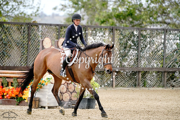 Con_Figaro_(308)_20250416_1942