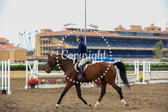 Aurelio_(539)_20210925_1515