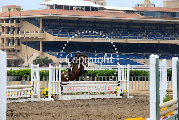 Aurelio_(539)_20210925_1519