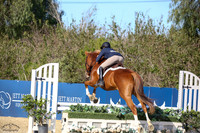 GFF_VIOLA_(160)_20250404_0115