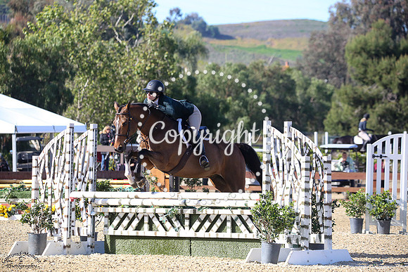 QUINN_42_(198)_20250404_0101
