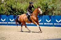 Talisman_(631)_20250618_0479