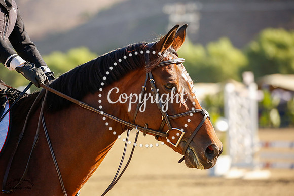 Vdl_Glitter_Van_De_Kalevalei_(1238)_20241011_5887