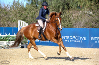 GFF_VIOLA_(160)_20250404_0112