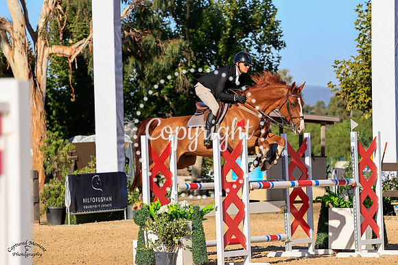 Vanda_Vuitton_(260)_20211013_0145