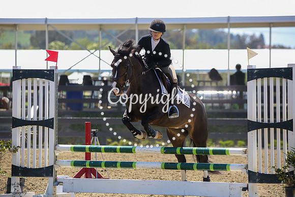 Mcl_Sparkle_(820)_20250409_0306