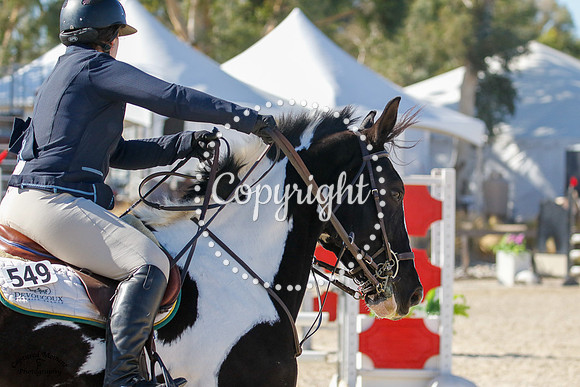 Comanche_(549)_20211015_2592