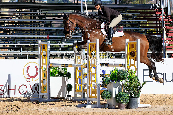 Lexica_(509)_20211013_0404