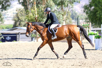 Tatabra_Ebony_(222)_20211013_0495