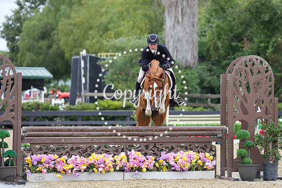 Cortes_S_(656)_20250619_3842