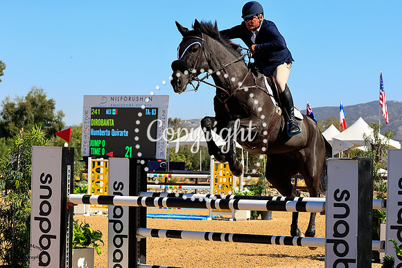 Dirobanta_(241)_20211014_0403