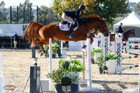 Foster_(562)_20211014_1260