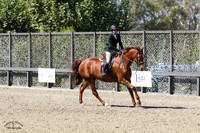 Guinness_(129)_20211014_1628