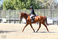 Guinness_(129)_20211014_1632