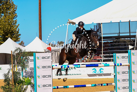 Laurenz_29_(331)_20211016_0786