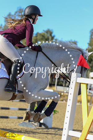 Cappuchino_Van_T_Heike_(835)_20211020_0266