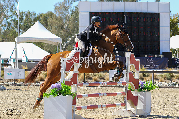 Casall_C_(799)_20211020_1124