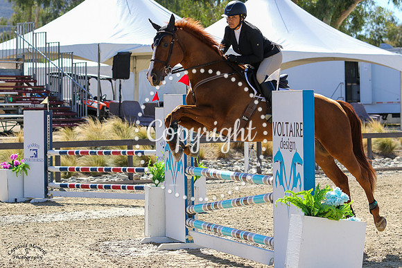 Casall_C_(799)_20211020_1130