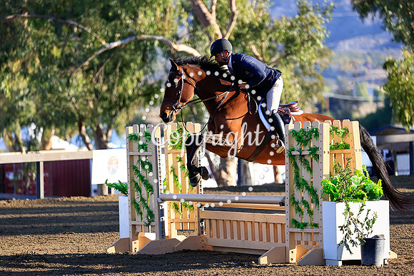 Heraltico_H_(632)_20211020_0006