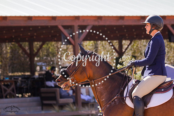 Lexica_(509)_20211020_0694